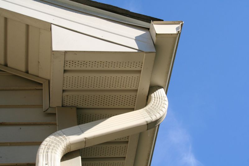 Downspout Cleaning in Baltimore, MD