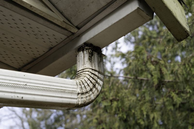 Downspout Cleaning in Rochester, NY
