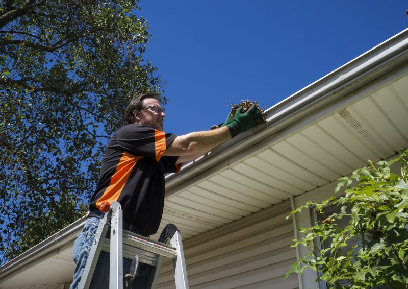Eavestrough Clearing in Baltimore, MD