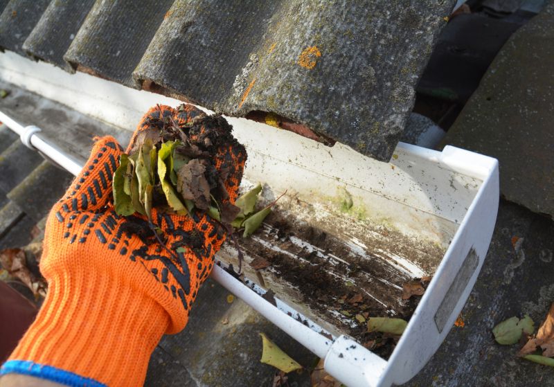 Garage Gutter Cleaning in Frederick, MD