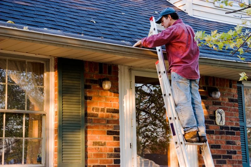 Garage Gutter Cleaning in Annapolis, MD