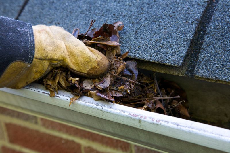 Gutter Blockage Removal in Baltimore, MD