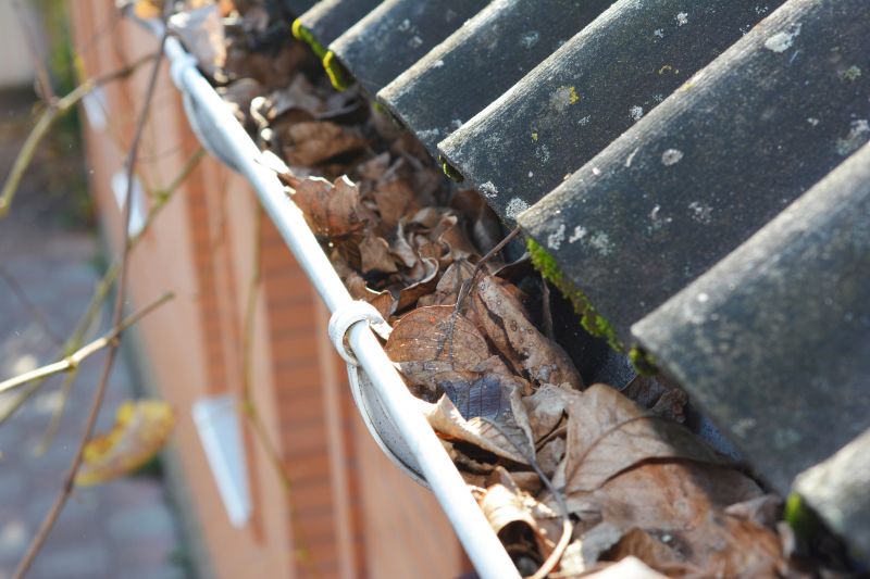 Gutter Leaf Clearing in Frederick, MD