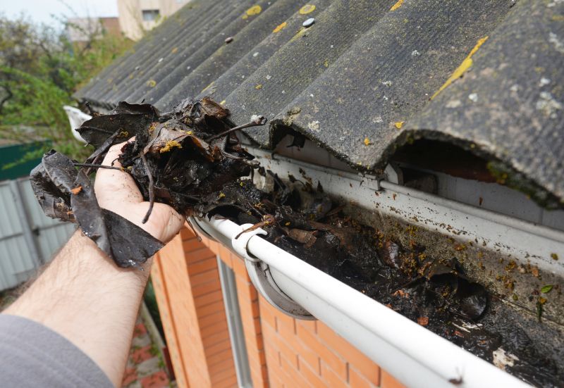 Gutter Leaves Removal in Frederick, MD