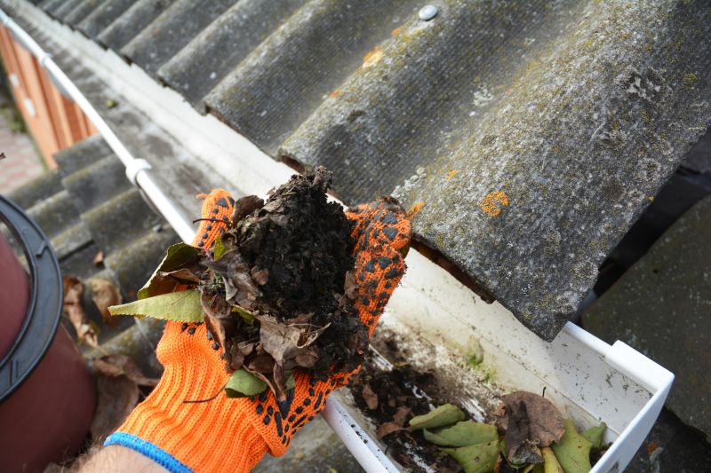 Gutter Pine Needle Removal in Baltimore, MD