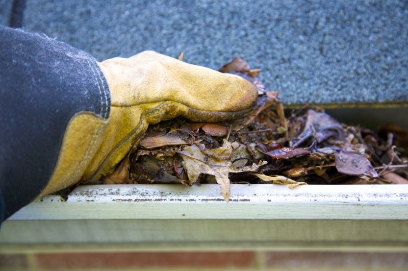 Gutter Pine Needle Removal in Boulder, CO