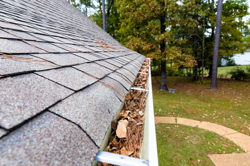 Gutter Pine Needle Removal in Morris County, NJ
