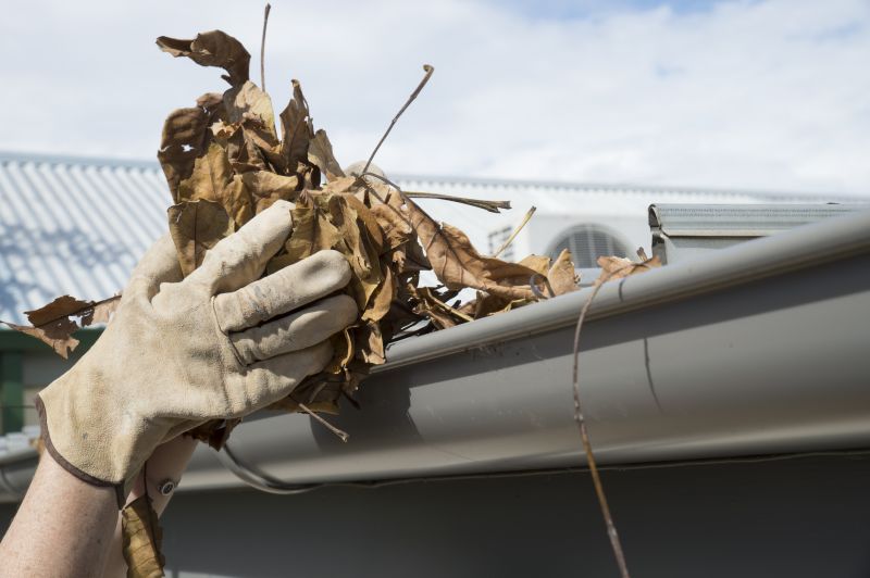 Gutter Pine Needle Removal in Long Island, NY