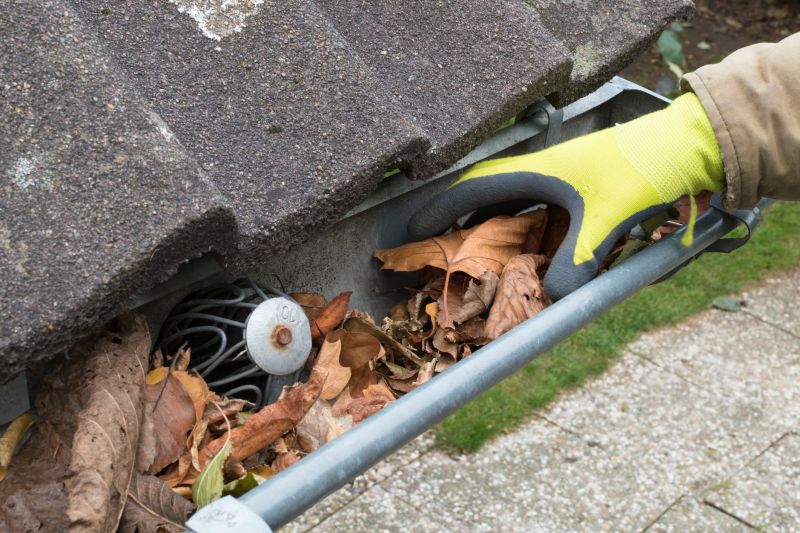 Gutter and Downspout Cleaning