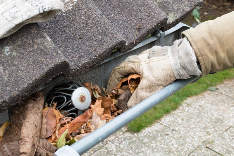 Rain Gutter Clearing in Annapolis, MD