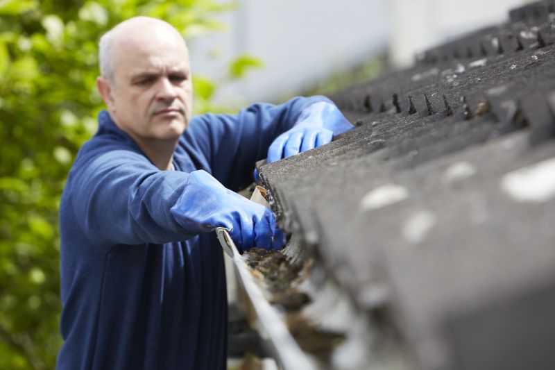 Roof Gutter Cleaning in Frederick, MD