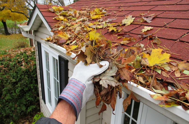 Roof Gutter Cleaning in Annapolis, MD