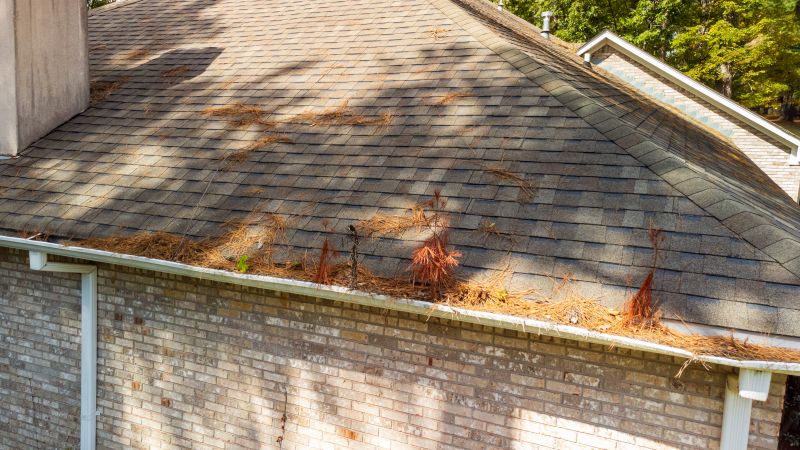 Gutter Pine Needle Removal in Longmont, CO